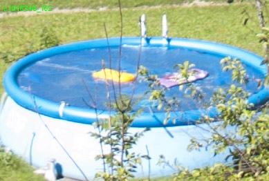 Summicron Blende 2.0 Summicron Blende 2.0