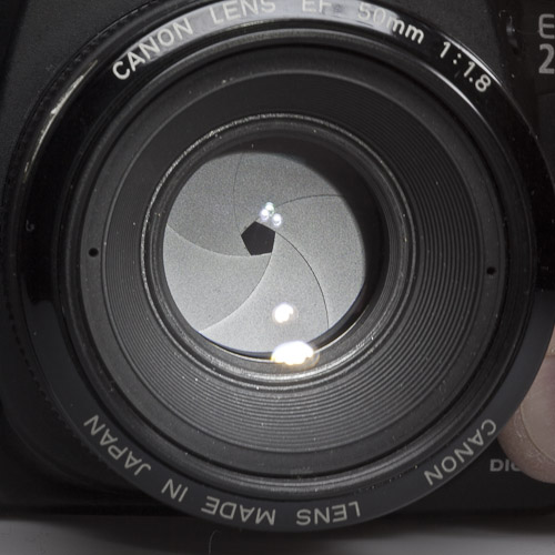 Canon 50mm bei 8.0 Canon 50mm bei 8.0