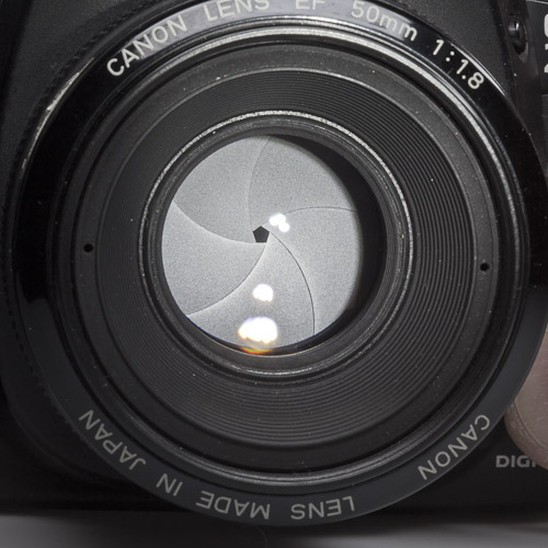 Canon 50mm bei 22.0 Canon 50mm bei 22.0