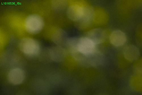 bokeh Blende 16.0 detail Leica bokeh Blende 16.0 detail Leica