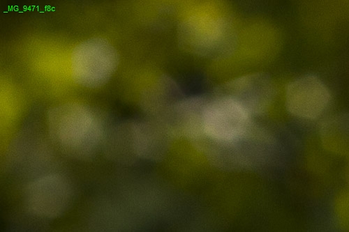 bokeh Blende 16.0 detail Canon bokeh Blende 16.0 detail Canon