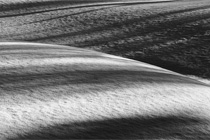 photography in the cold photography in the cold