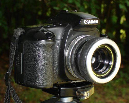Lensbaby Composer auf Canon 20D